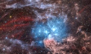 Pléiades, Messier 45. © Jeffrey Horne